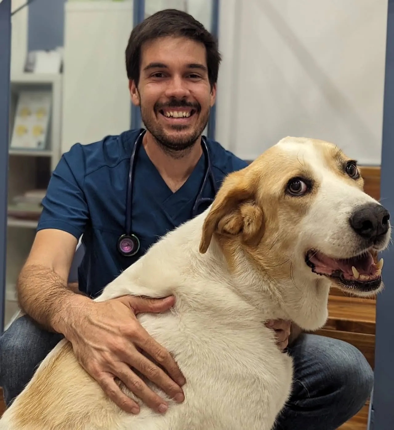 Veterinario Juan Toscano Gil